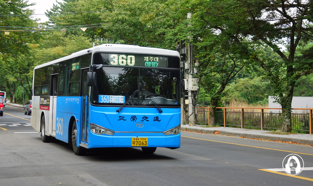 濟州幹線巴士