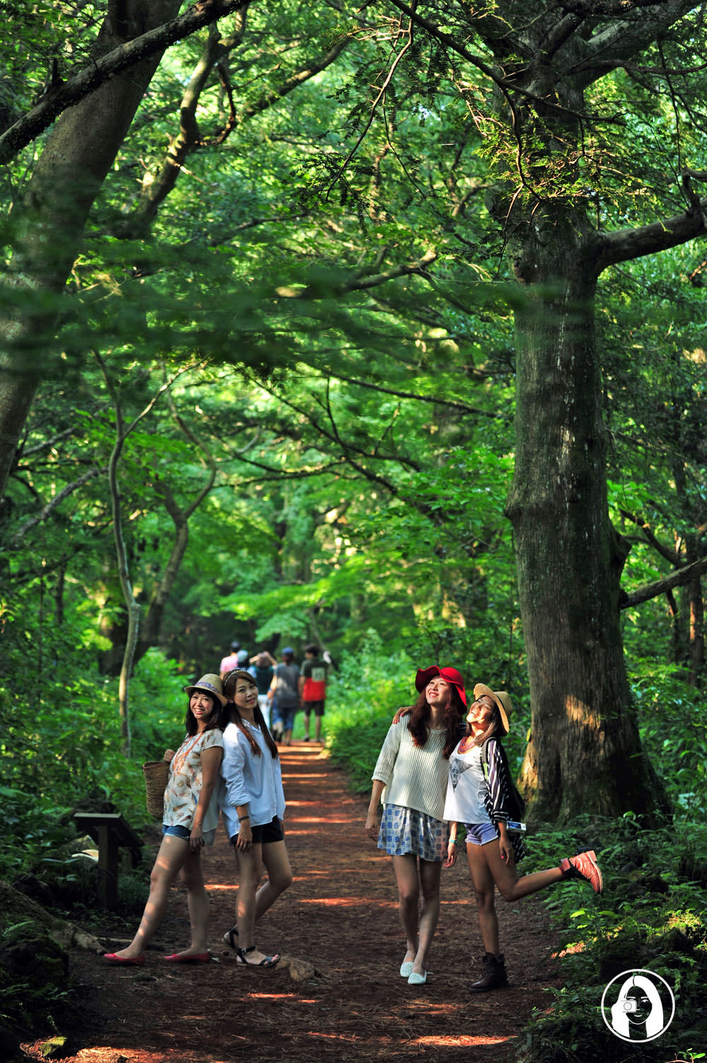 濟州島旅行-行程懶人包-榧子林-비자림
