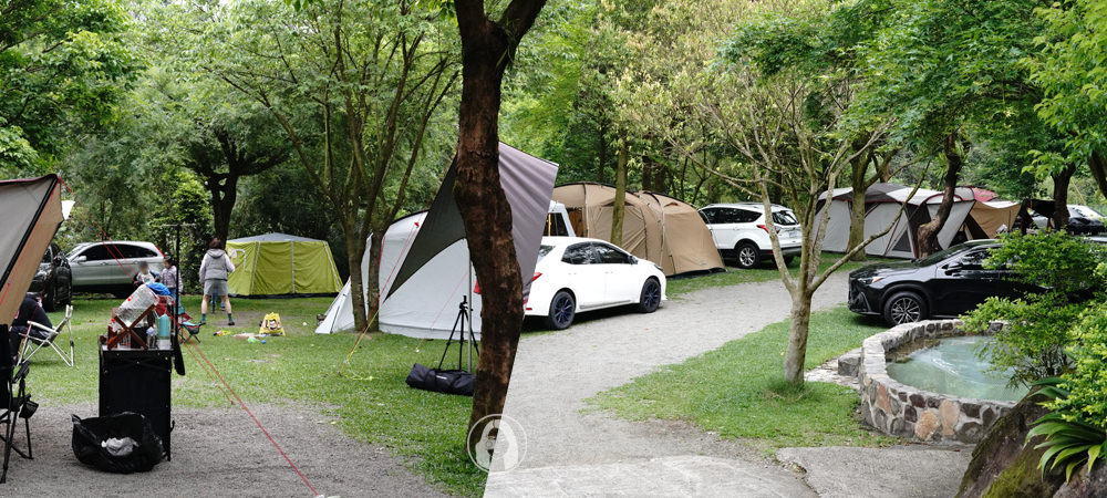 露營.新竹尖石 金鶯露營園地，美麗草皮、花卉繚繞，油羅溪旁用心經營的好營區