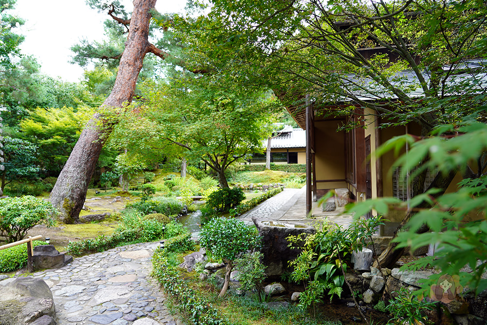 京都南禪寺順正湯豆腐ゆどうふ-京懷石湯豆腐三大名店湯豆腐