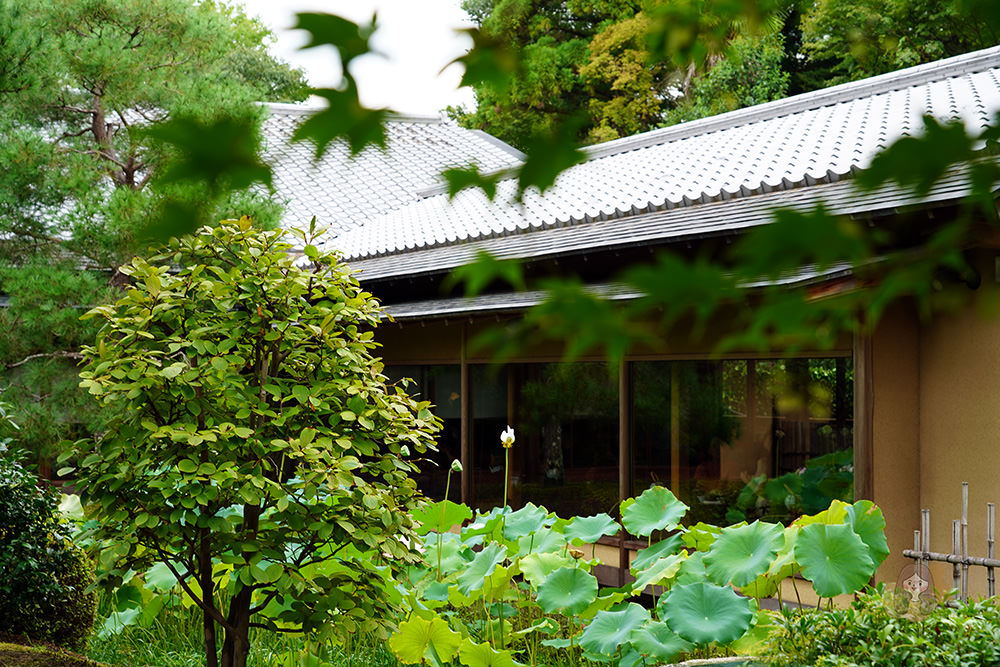 京都南禪寺順正湯豆腐ゆどうふ-京懷石湯豆腐三大名店湯豆腐