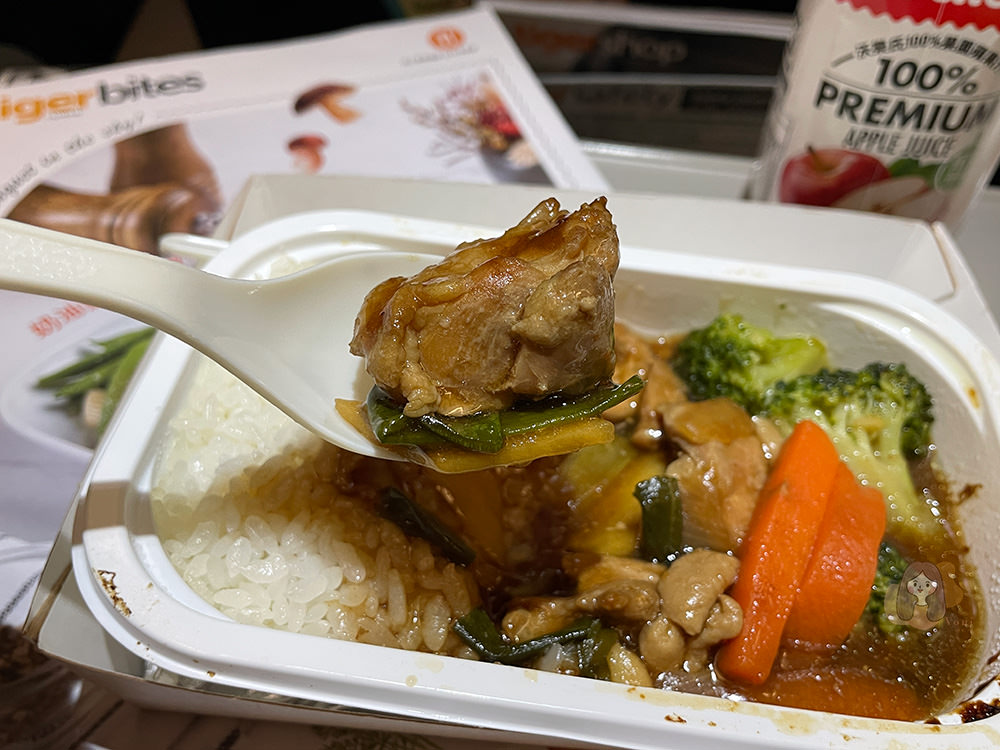 台灣虎航-Tigerair-Taiwan-台北飛釜山-IT606-午去晚回-機上可充電