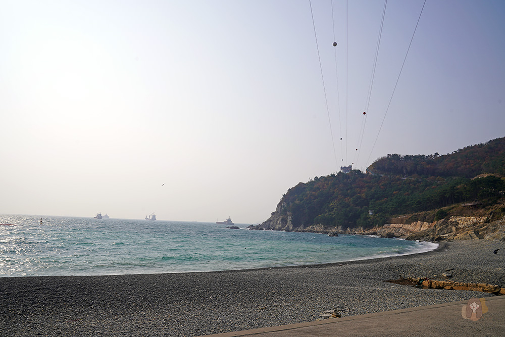 釜山影島太宗台烤貝街 태종대조개구이촌-太宗台札嘎庭院姨母家 태종대 자갈마당 이모집