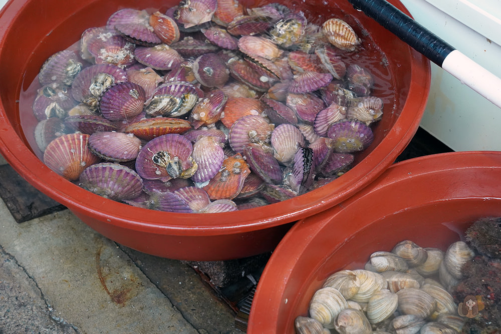 釜山影島太宗台烤貝街 태종대조개구이촌-太宗台札嘎庭院姨母家 태종대 자갈마당 이모집