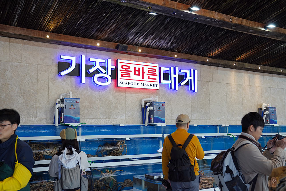 釜山機張雪蟹滿餐대게만찬-雪蟹、松葉蟹套餐