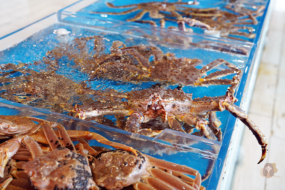 釜山機張雪蟹滿餐대게만찬-雪蟹、松葉蟹套餐