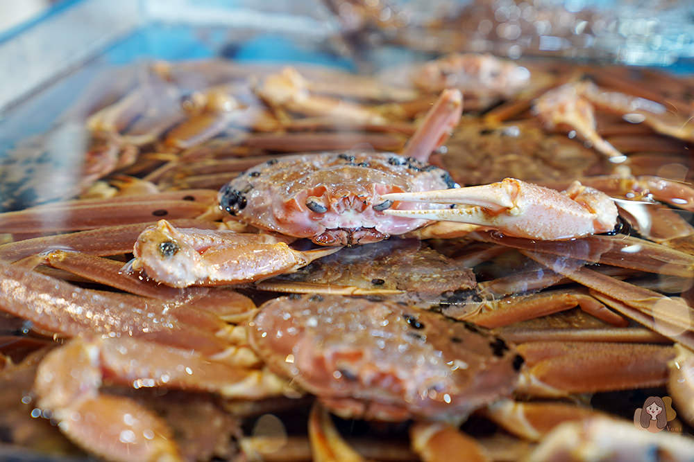 釜山機張雪蟹滿餐대게만찬-雪蟹、松葉蟹套餐