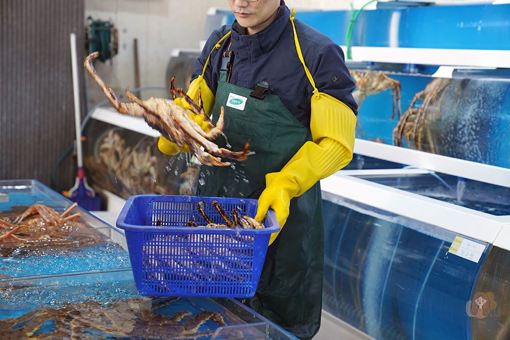 釜山機張雪蟹滿餐대게만찬-雪蟹、松葉蟹套餐