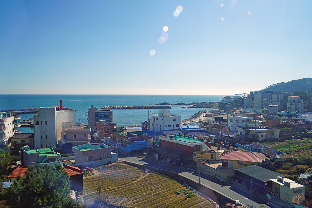 釜山機張雪蟹滿餐대게만찬-雪蟹、松葉蟹套餐