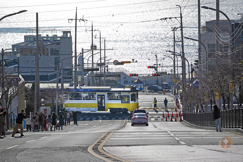 釜山藍線公園釜山海雲台藍線公園-Blueline-Park 櫻木花道鐵道