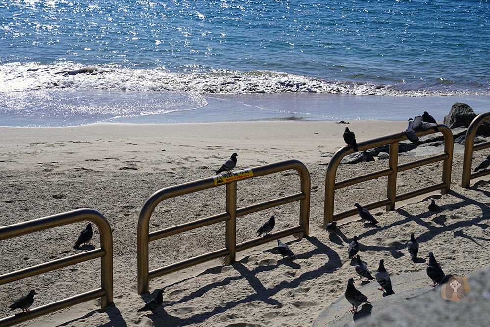 釜山藍線公園釜山海雲台藍線公園-Blueline-Park