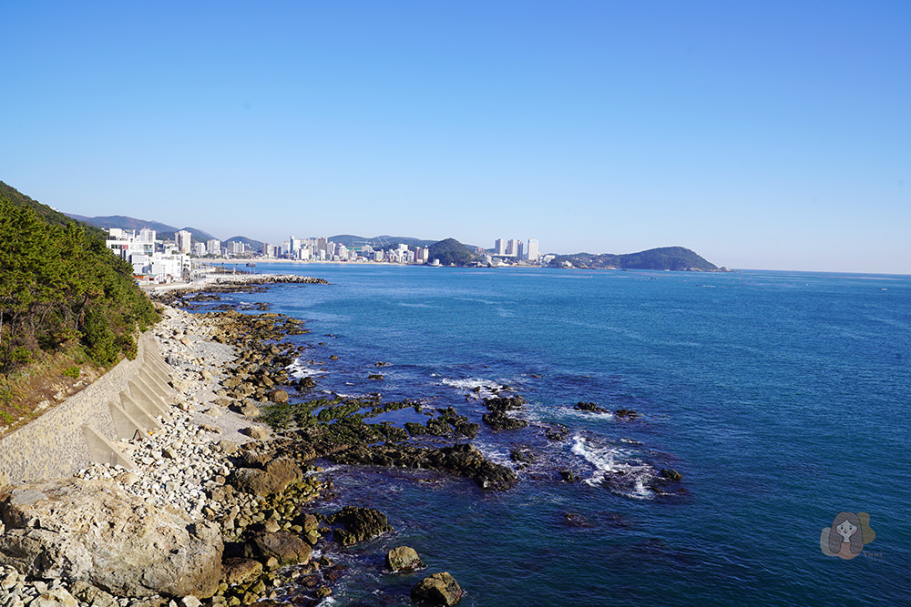 釜山青沙浦天空步道 青沙浦踏石展望台 청사포다릿돌전망대