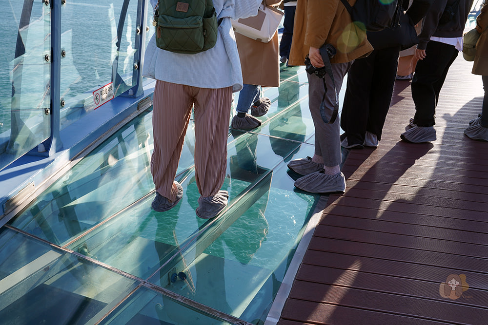 釜山青沙浦天空步道 青沙浦踏石展望台 청사포다릿돌전망대