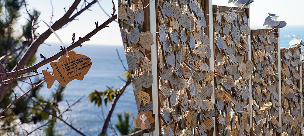 釜山青沙浦天空步道 青沙浦踏石展望台 청사포다릿돌전망대