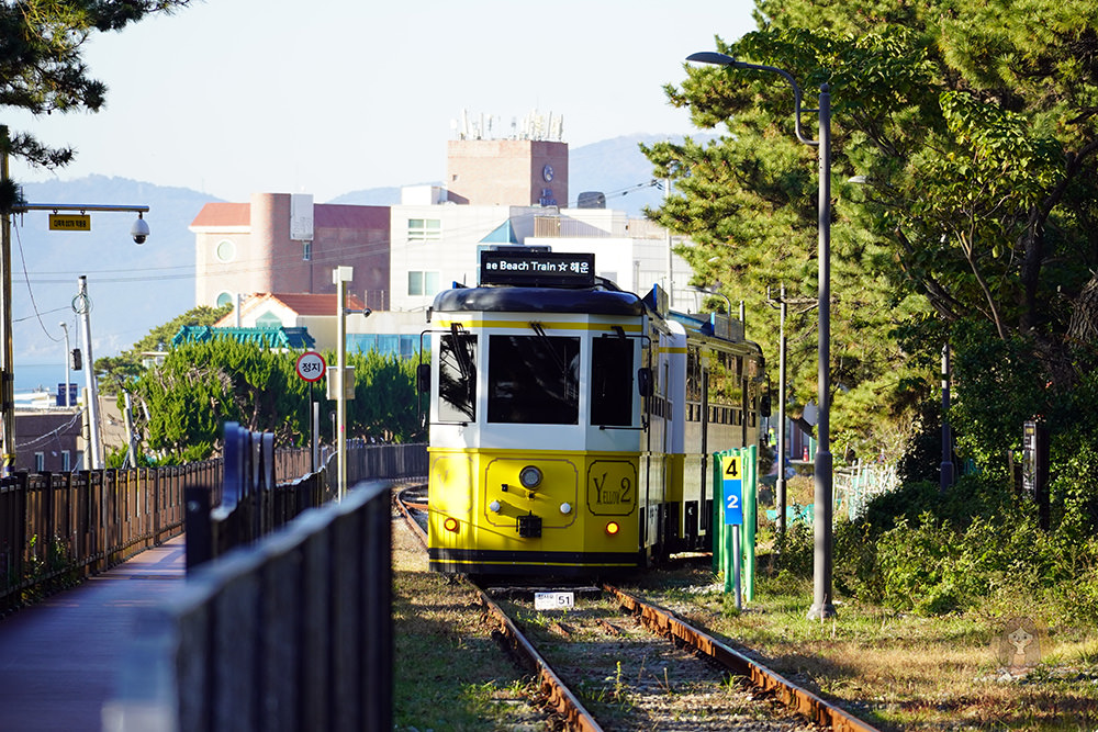 釜山青沙浦天空步道 青沙浦踏石展望台 청사포다릿돌전망대