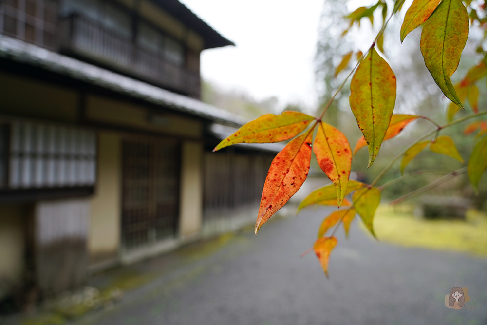 廣島福山市神勝寺禪與庭的美術館 神勝寺禅と庭のミュージアム