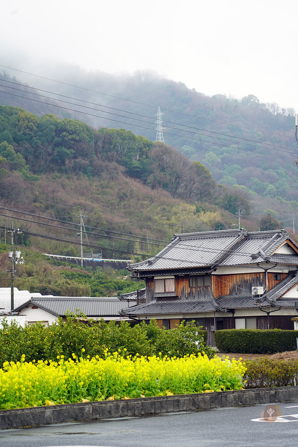 瀨戶內海島-島ごと美術館