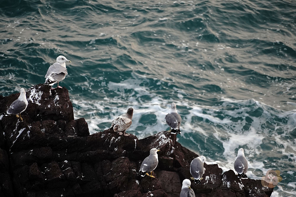 釜山松島龍宮雲橋步道,感受行走海上的刺激感,欣賞釜山海岸絕景 - 第15張圖 釜山松島龍宮雲橋