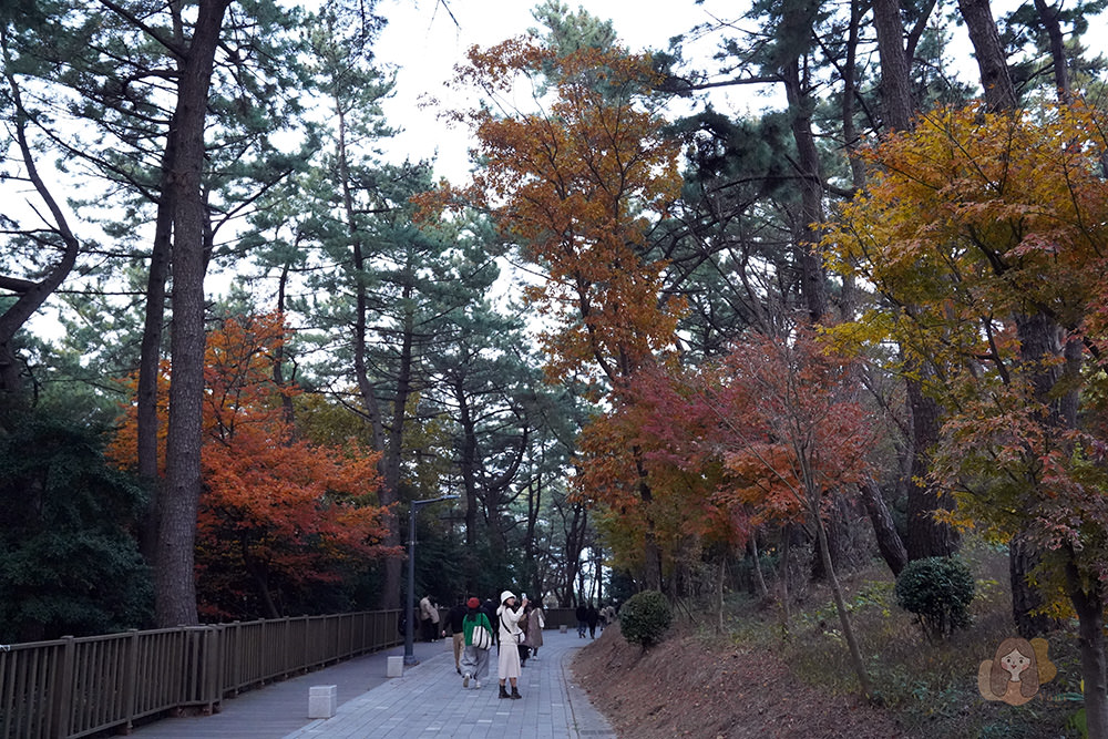 釜山松島龍宮雲橋步道,感受行走海上的刺激感,欣賞釜山海岸絕景 - 第16張圖 釜山松島龍宮雲橋