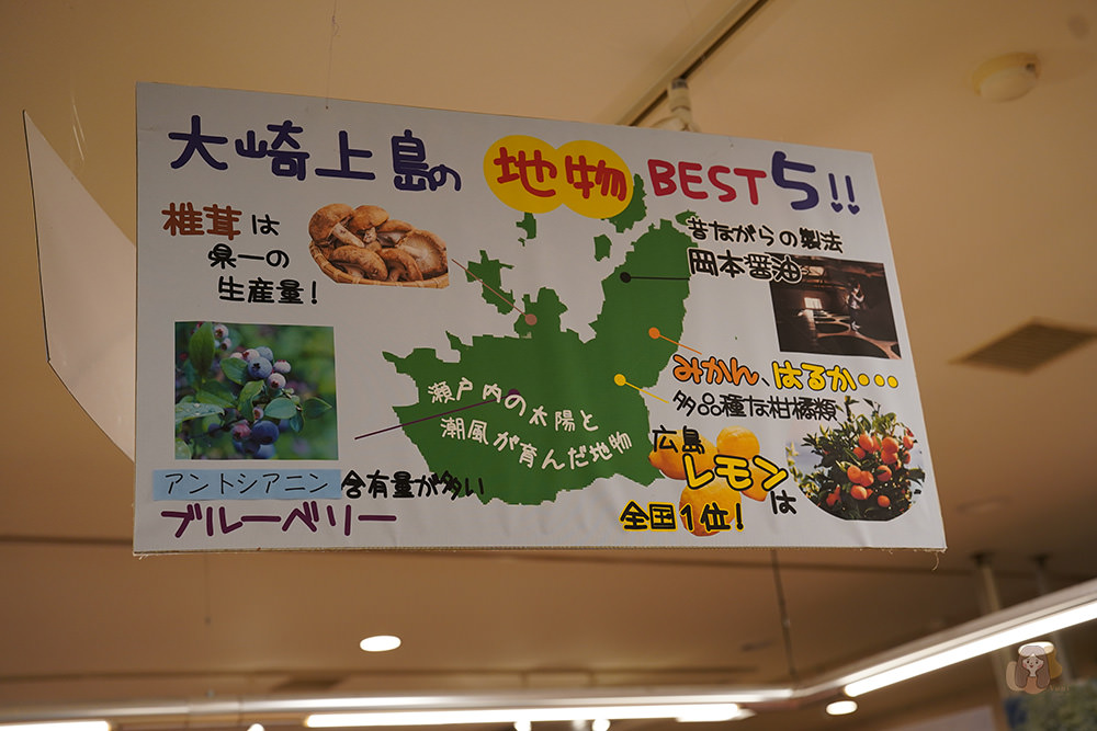 廣島大崎上島木江溫泉清風館飯店,瀨戶內海絕景露天溫泉,遠離塵囂的小島祕境旅行 - 第12張圖 廣島-瀨戶內-大崎上島-清風館-きのえ温泉-ホテル清風館