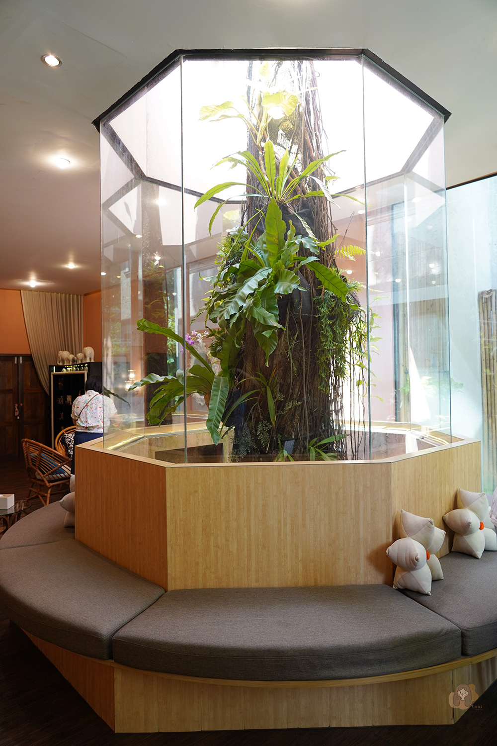 泰國曼谷-divana-SPA