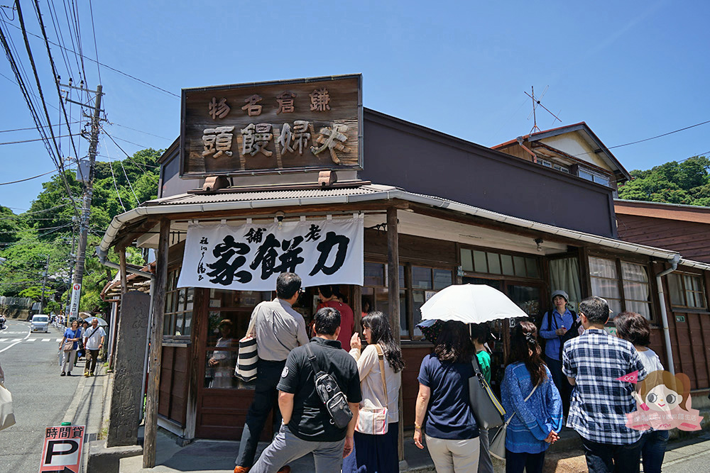 日本鎌倉成就院，繡球花階梯遠望湘南海岸，極樂寺站步行約 3 分鐘