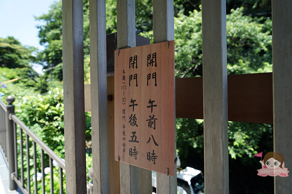 日本鎌倉成就院，繡球花階梯遠望湘南海岸，極樂寺站步行約 3 分鐘