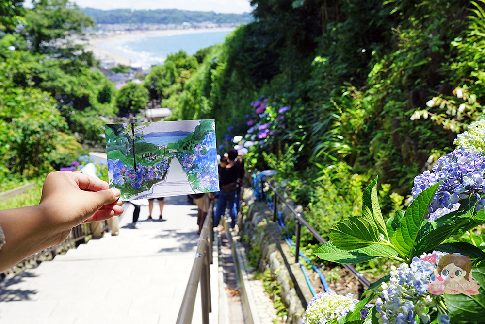 日本鎌倉成就院，繡球花階梯遠望湘南海岸，極樂寺站步行約 3 分鐘