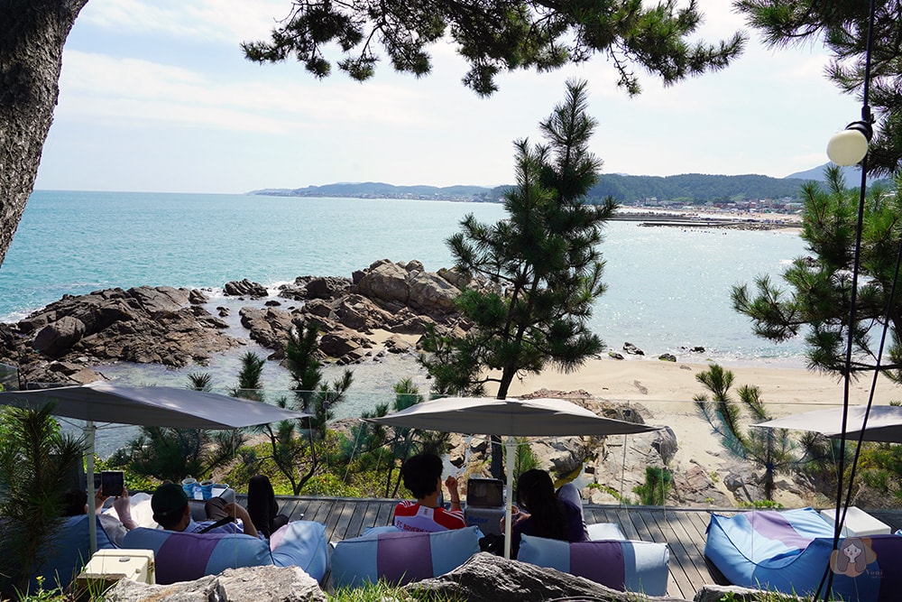 BUSAN-WAVEON-COFFEE