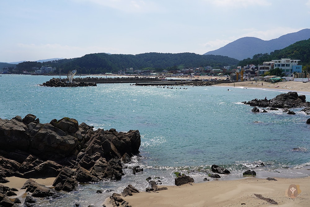 BUSAN-WAVEON-COFFEE