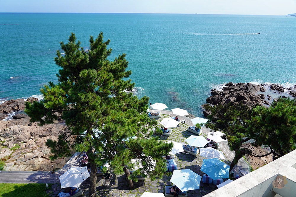 BUSAN-WAVEON-COFFEE