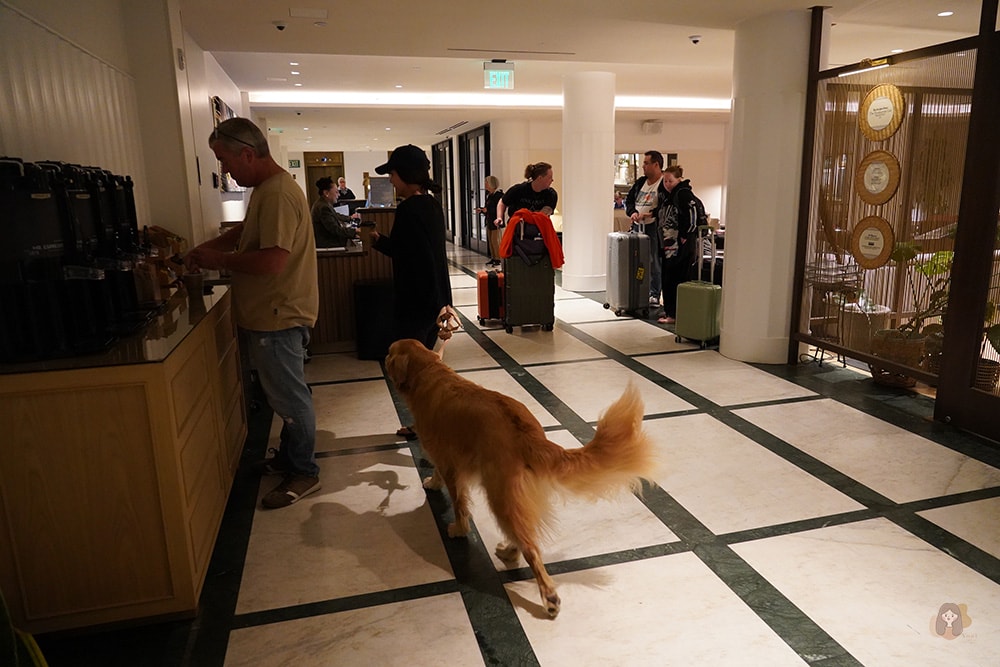 Kimpton-Alton-Hotel-in-Fisherman's-Wharf-San-Francisco