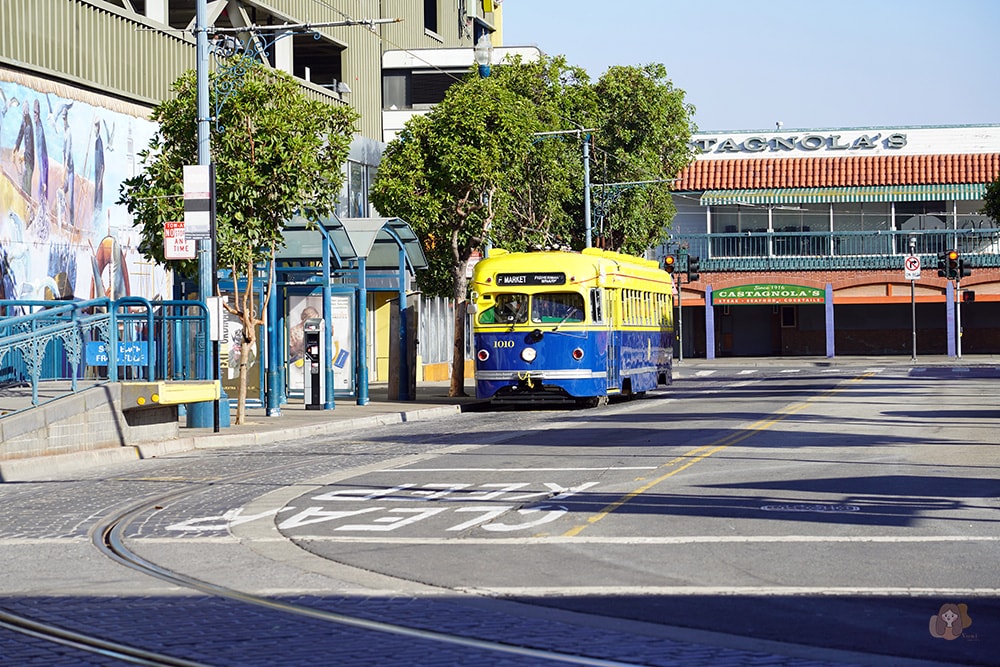 Kimpton-Alton-Hotel-in-Fisherman's-Wharf-San-Francisco