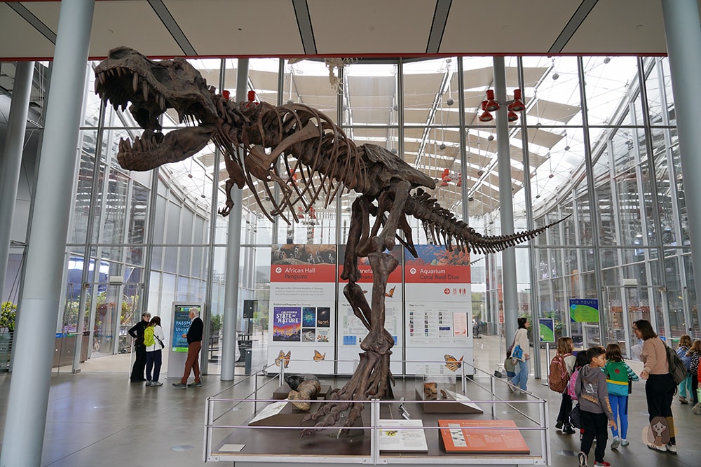 美國加州科學院-California-Academy-of-Sciences