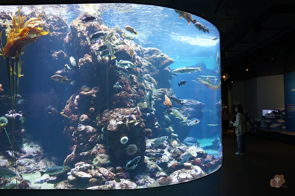 美國加州科學院-California-Academy-of-Sciences