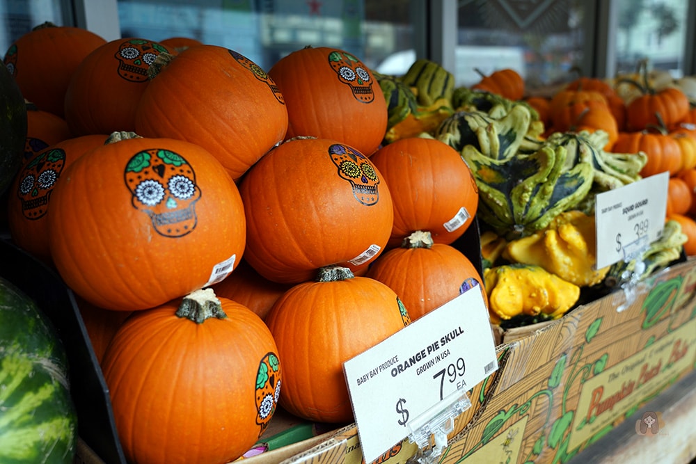 San-Francisco-Haight-&-Ashbury