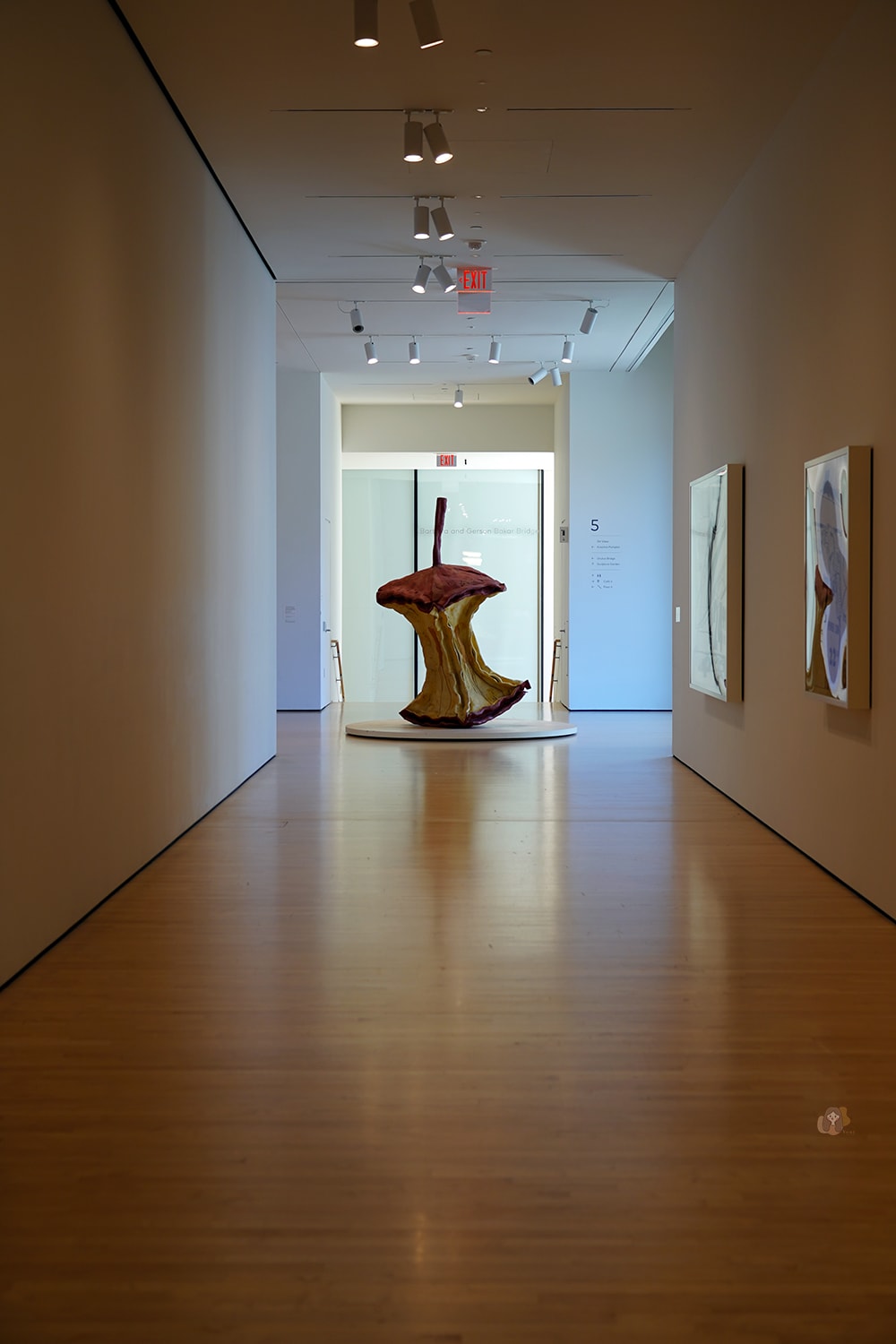 SFMOMA-San-Francisco-Museum-of-Modern-Art
