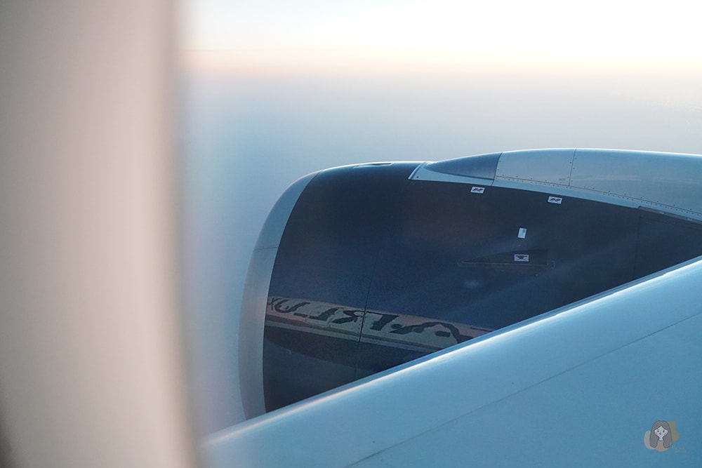 星宇航空 STARLUX 台北-舊金山天天直飛,AIRBUS A350-900 豪經艙座位、餐點、過夜包完整開箱 - 第27張圖 STARLUX-星宇航空台北舊金山-TPE-SFO-豪經艙