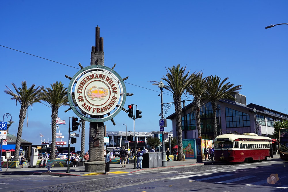 San Francisco Fishermans' Whare Pier 39 舊金山漁人碼頭 39 號碼頭