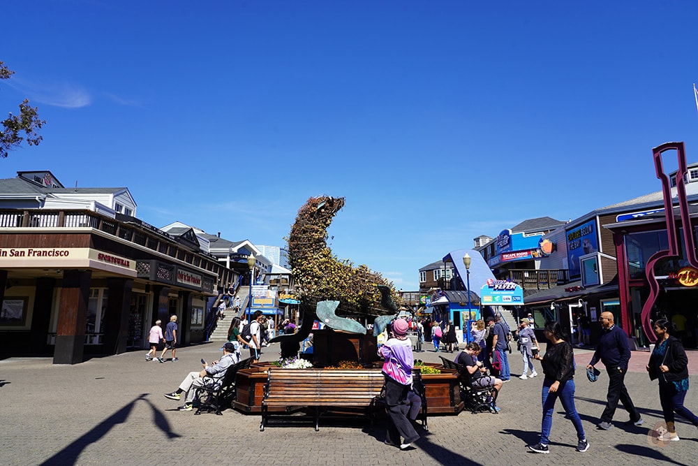 San Francisco Fishermans' Whare Pier 39 舊金山漁人碼頭 39 號碼頭