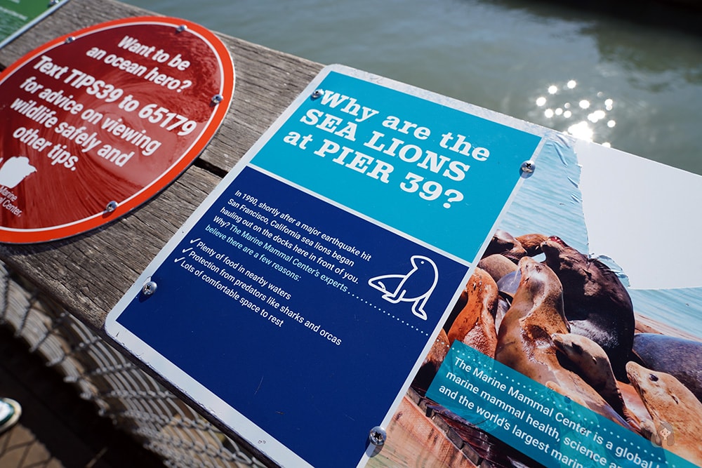 San Francisco Fishermans' Whare Pier 39 舊金山漁人碼頭 39 號碼頭