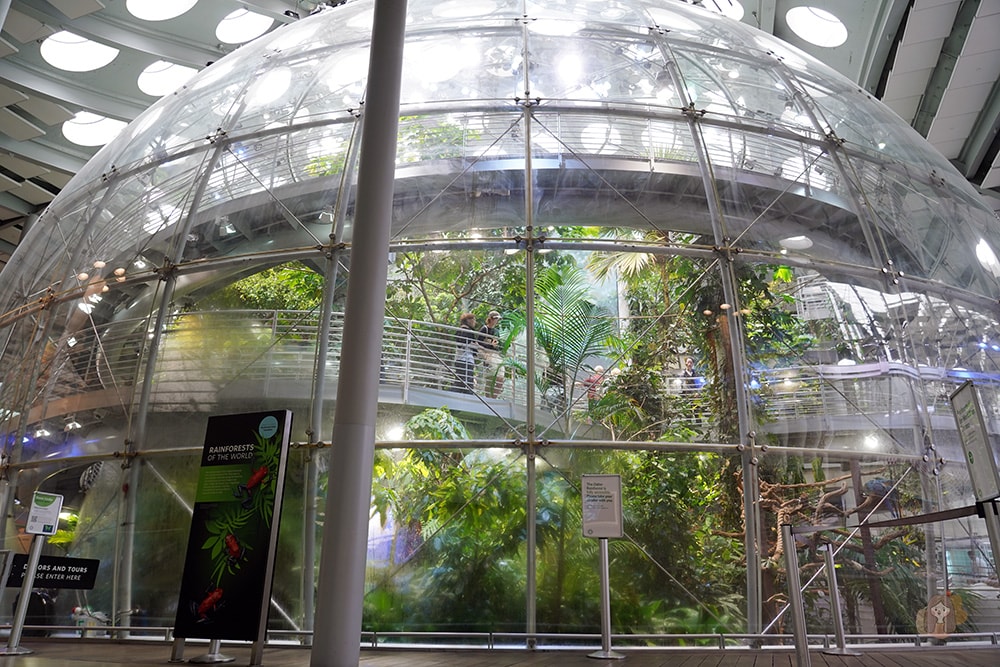 美國加州科學院-California-Academy-of-Sciences