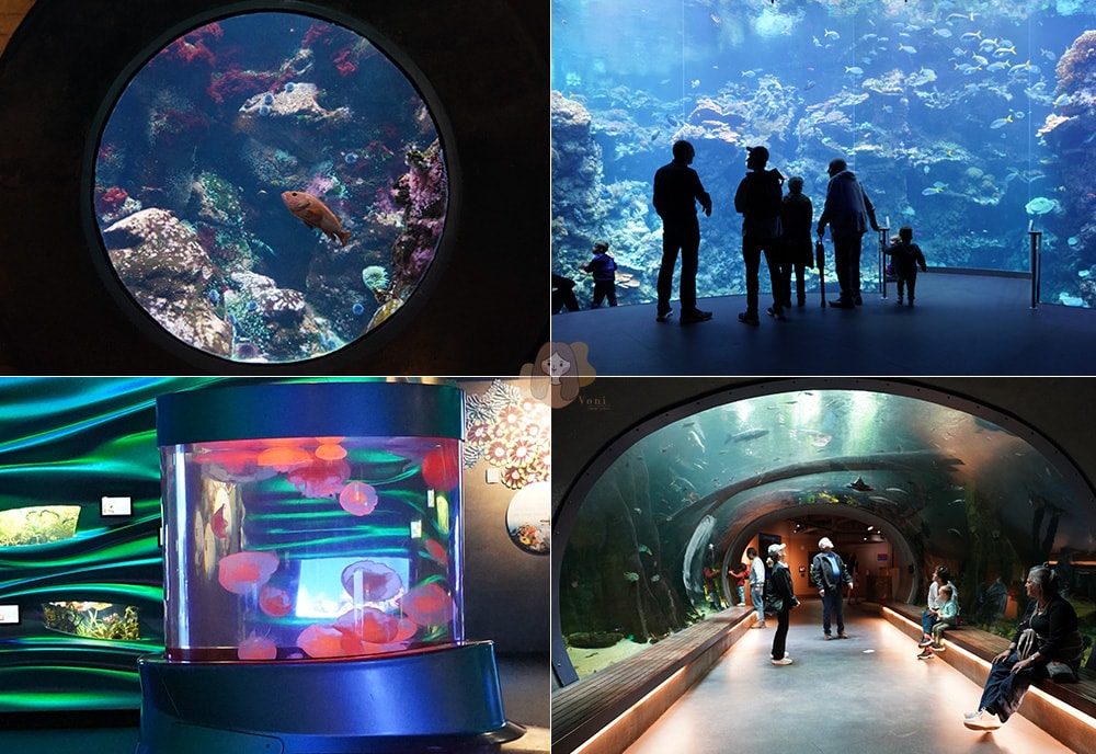 美國加州科學院-California-Academy-of-Sciences