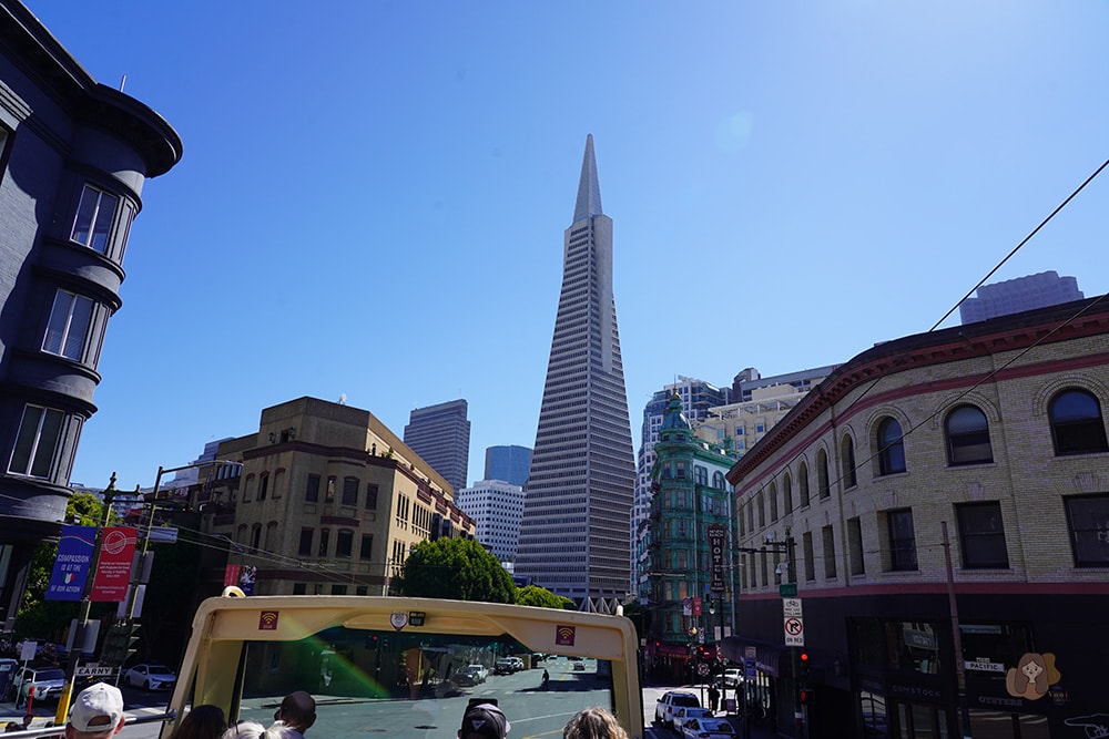 san-francisco-big-bus