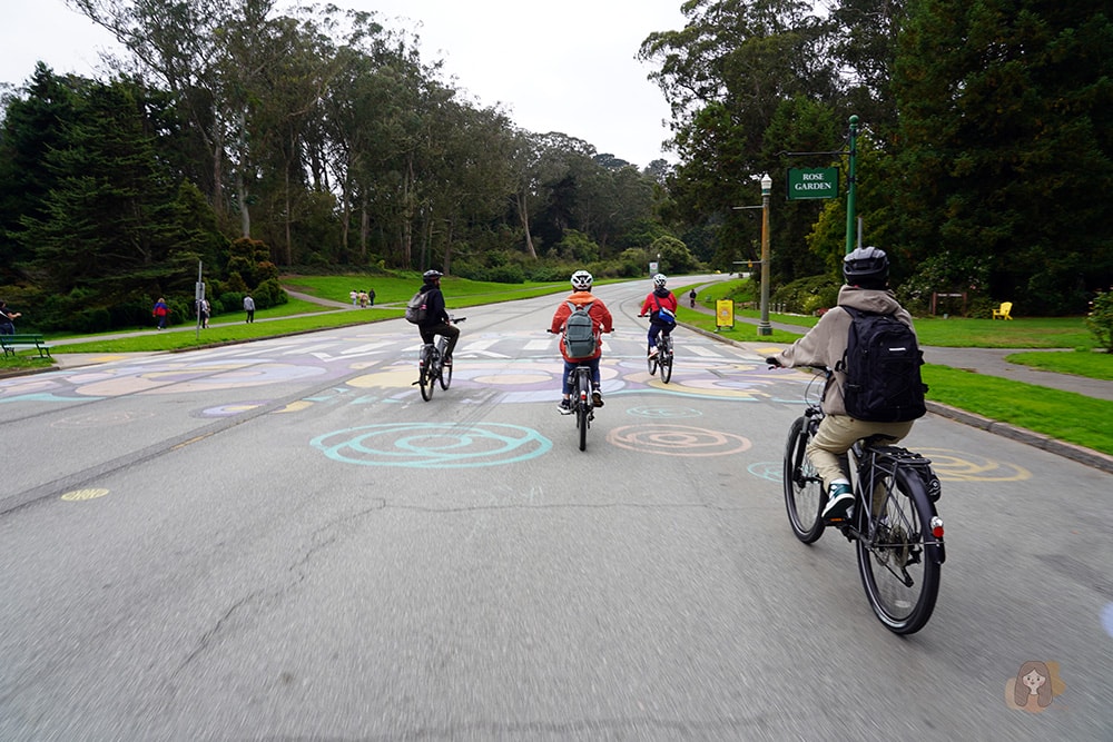 san-francisco-eco-biking