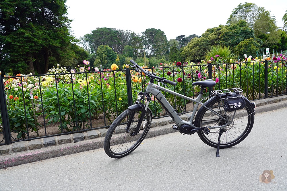 san-francisco-eco-biking