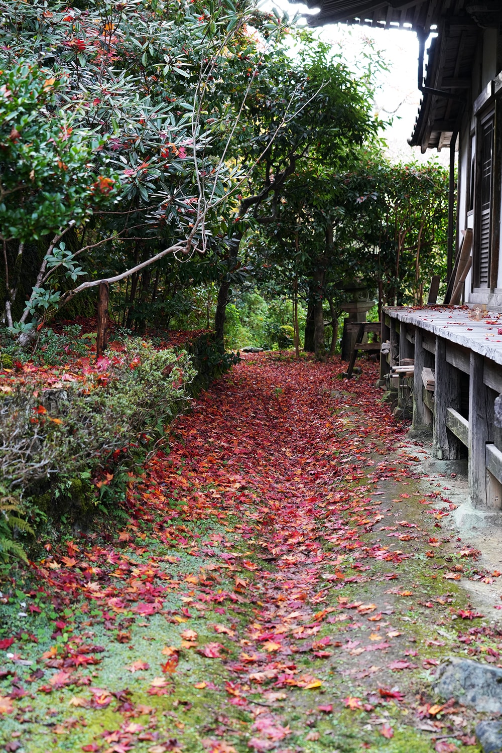 吉野山竹林院群芳園