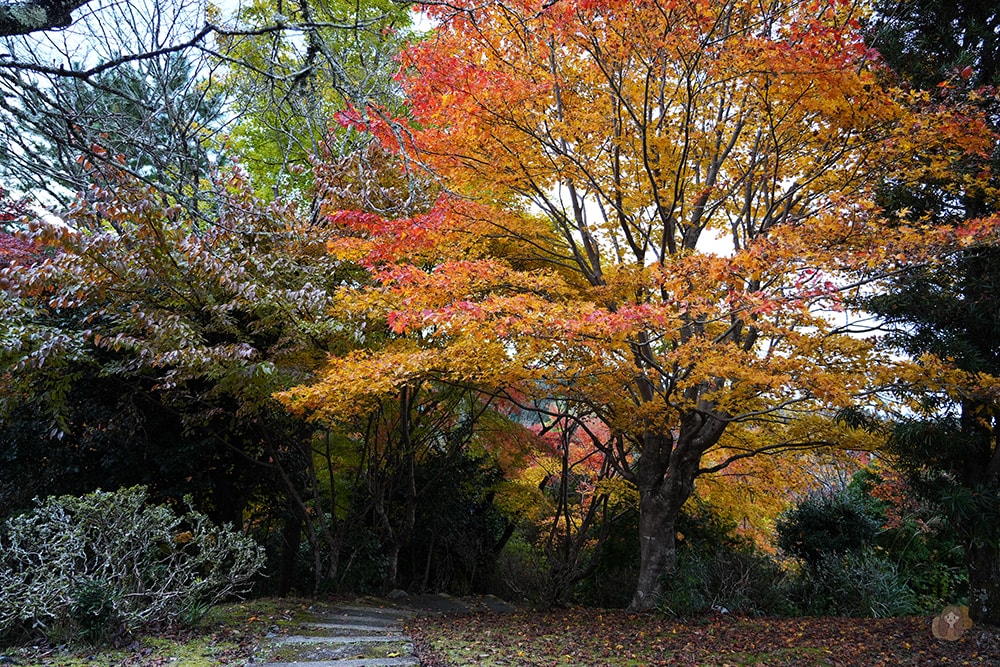吉野山竹林院群芳園