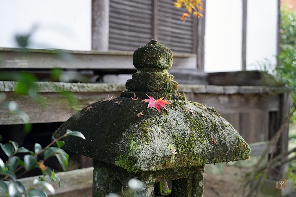 吉野山竹林院群芳園