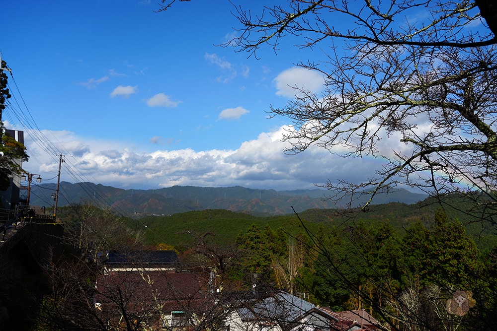 吉野山賞櫻賞楓必吃美食,藏王堂前柿葉壽司 やっこ (Yakko) 佐四季絕美景色 - 第11張圖 吉野山藏王堂前柿葉壽司-やっこ-Yakko